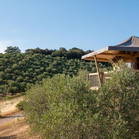 Glamping Podere San Jacopo Massa Marittima Exterior foto