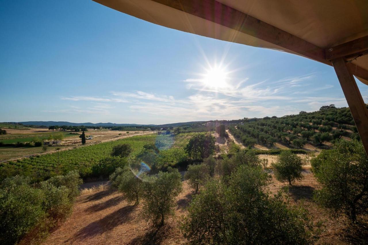 Glamping Podere San Jacopo Massa Marittima Exterior foto