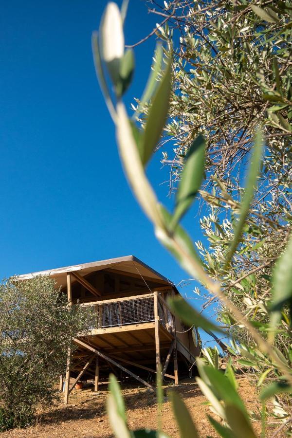 Glamping Podere San Jacopo Massa Marittima Exterior foto
